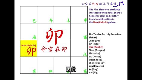 卯屬性|【卯 五行】揭曉卯的秘密：五行屬性大解析